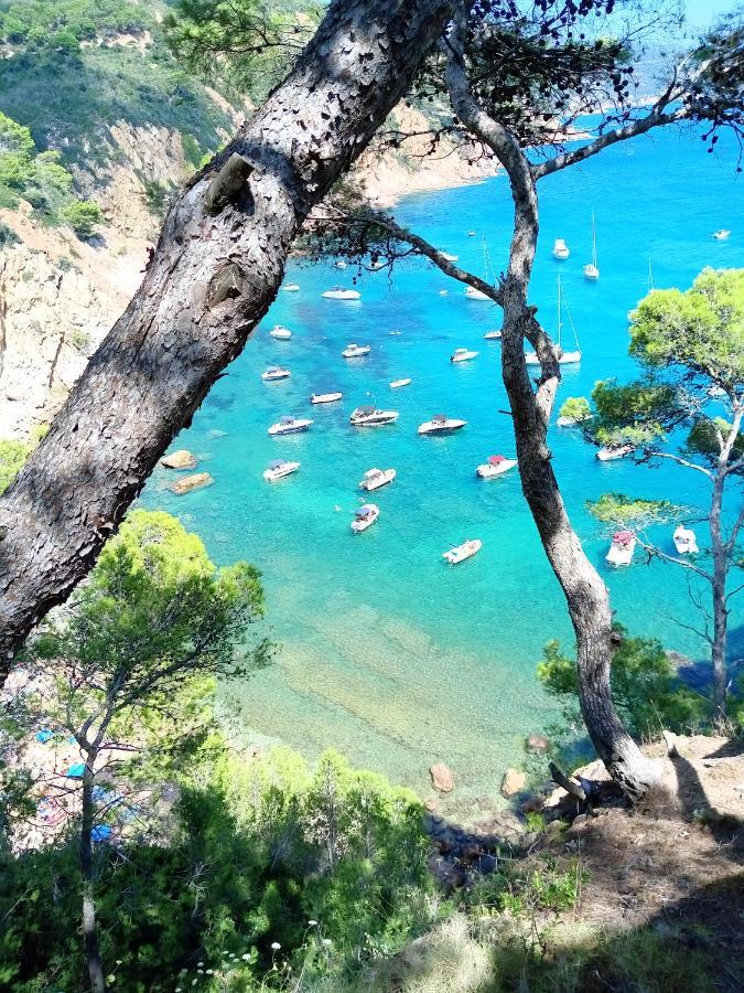 Apartament La Vista Bonica Blanes Εξωτερικό φωτογραφία