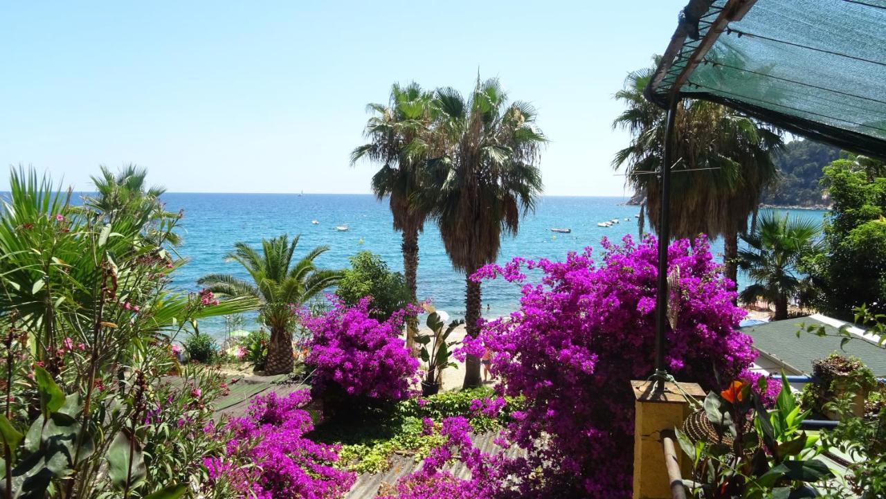 Apartament La Vista Bonica Blanes Εξωτερικό φωτογραφία